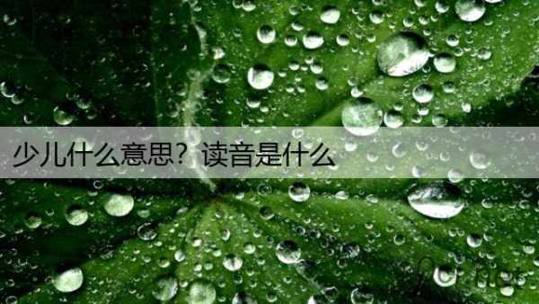 少儿什么意思？读音是什么