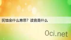 抚恤金什么意思？读音是什么