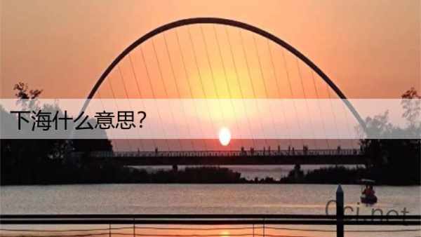 下海什么意思？