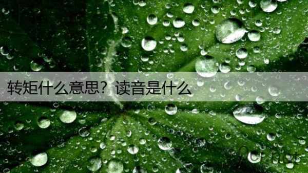 转矩什么意思？读音是什么