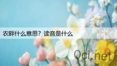 农畔什么意思？读音是什么