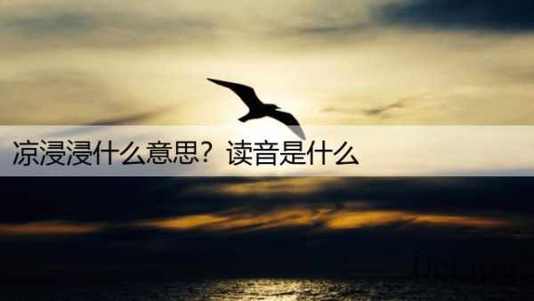 凉浸浸什么意思？读音是什么