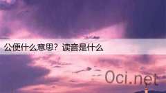 公便什么意思？读音是什么