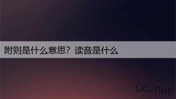 附则是什么意思？读音是什么